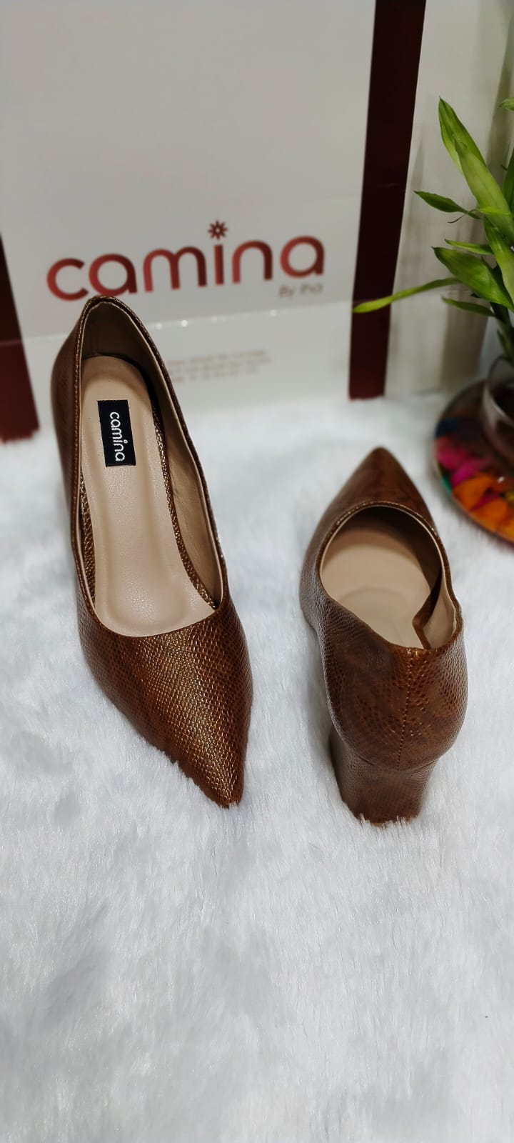 Camina Luxe Leather Pointed-Toe Heels-A159